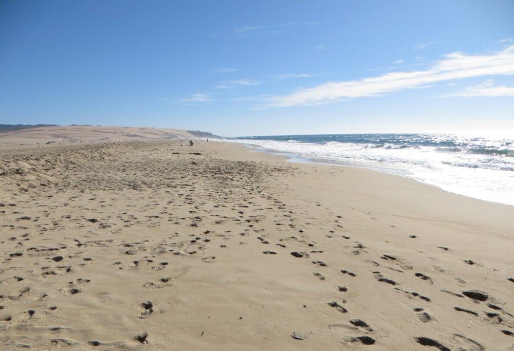 Rancho Guadalupe Dunes Preserve