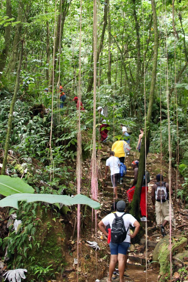 Roseau Dam Trail, St Lucia