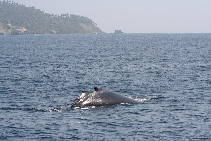 Samana Bay