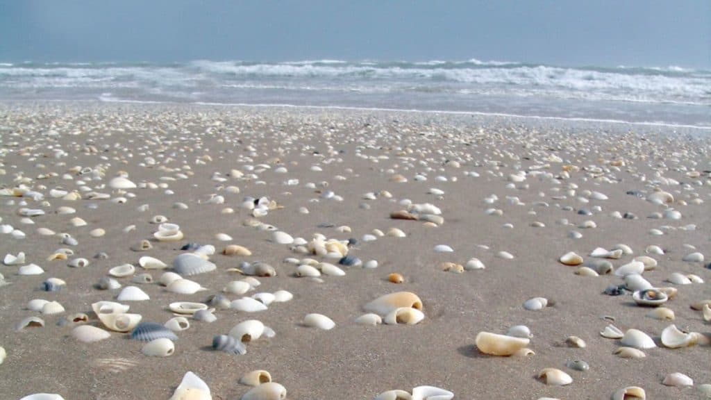 San Jose Island, Texas