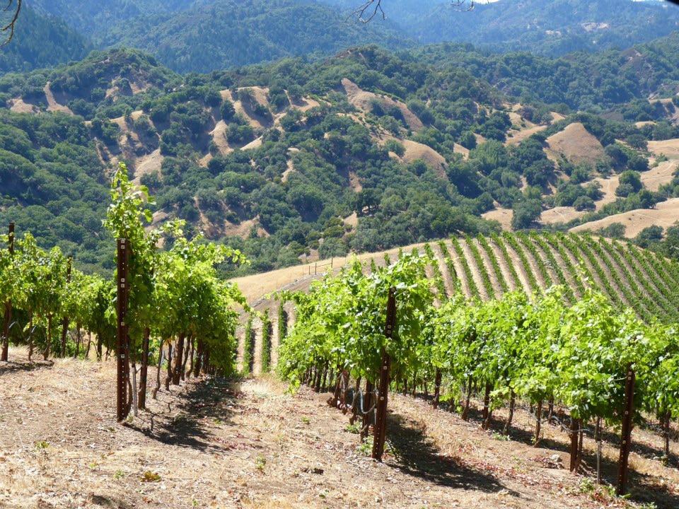 Sonoma