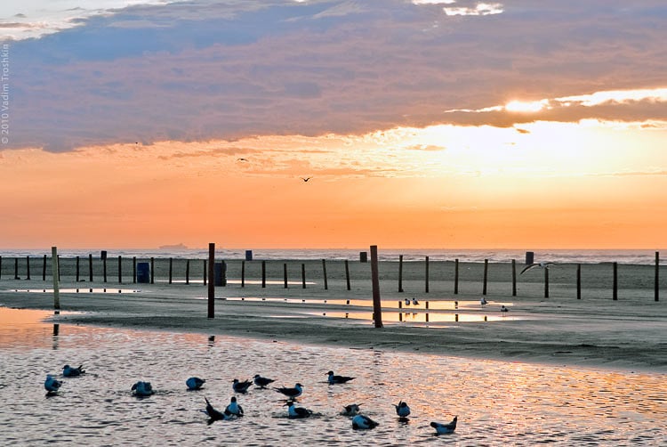 Stewart Beach, Galveston