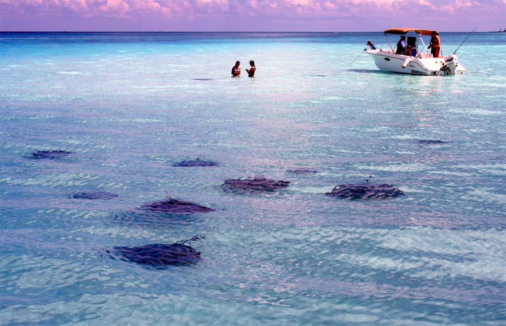 Stingray City, Cayman Islands