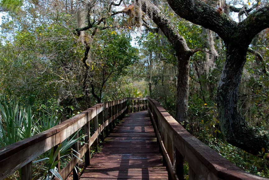 Turkey Creek Sanctuary