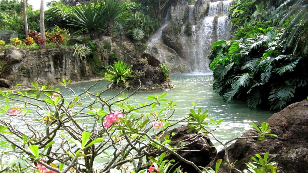 Zoological and Botanical Park of Guadeloupe