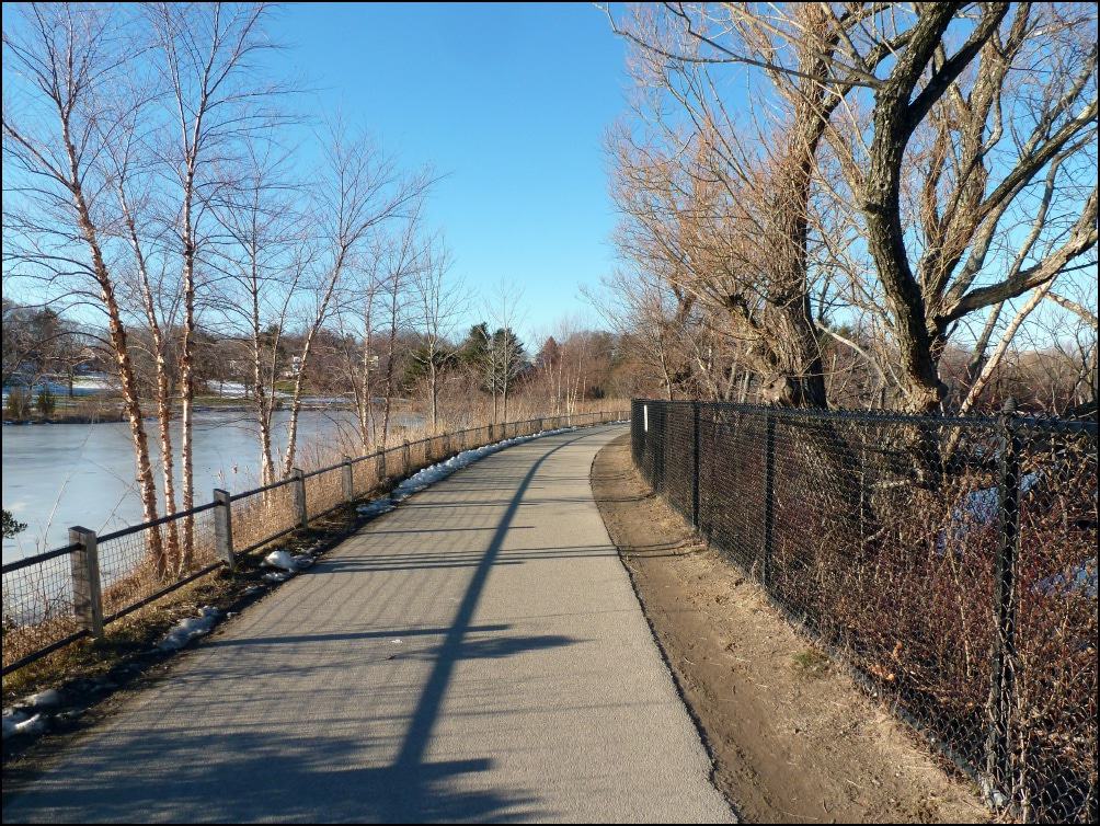 Fresh Pond Trail