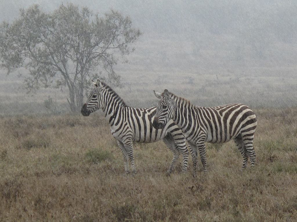 Hell's Gate National Park