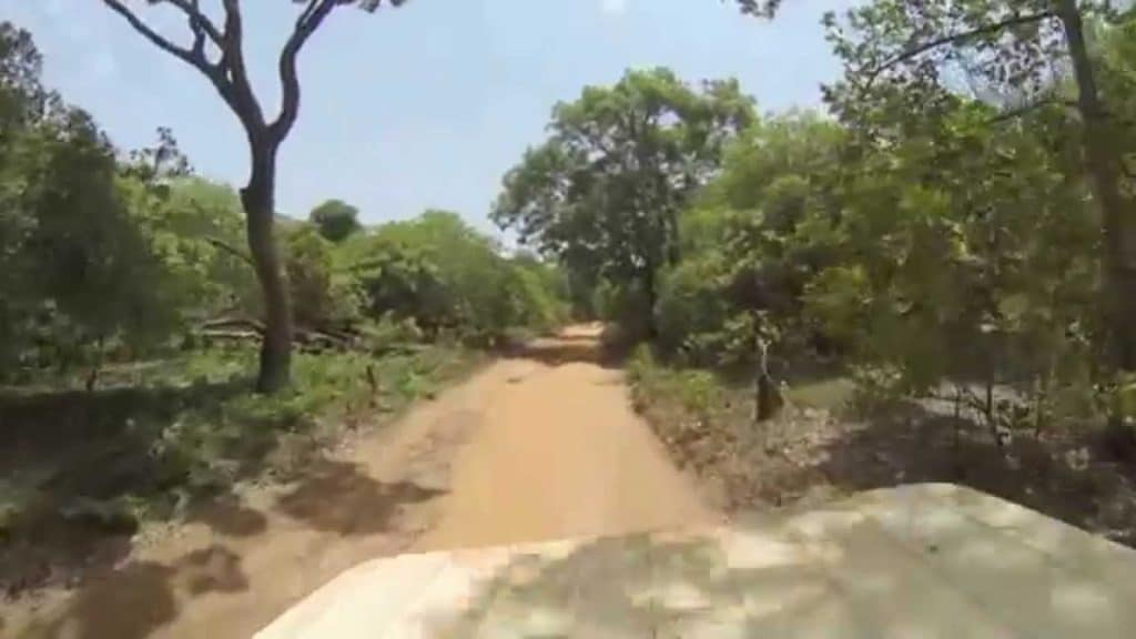 Lagoas Cufada Natural Park