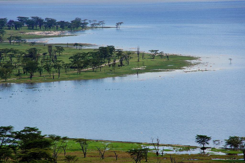 Lake Nakuru
