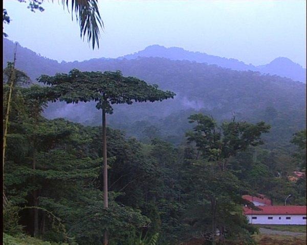 Monte Alén National Park