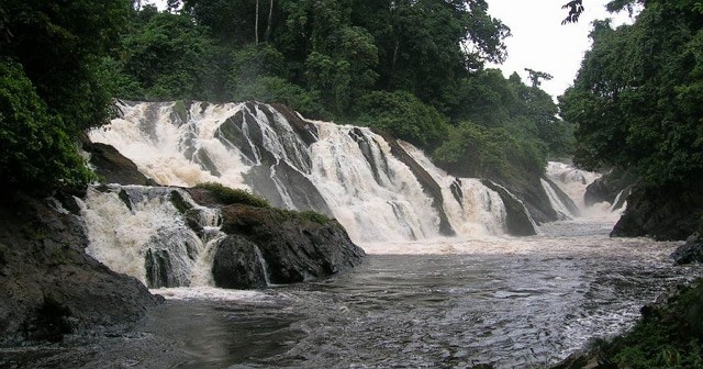 Monte Temelón Natural Reserve