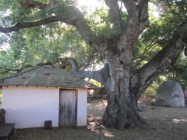 Moreno Adobe