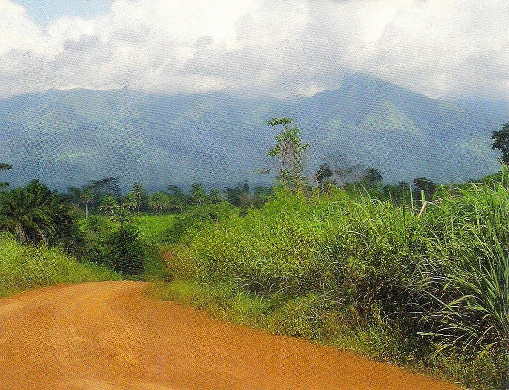 Mount Nimba Strict Nature Reserve