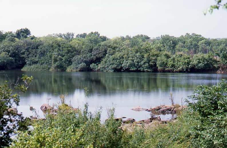 National Park of Upper Niger