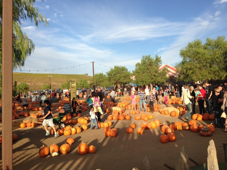 Peltzer Pumpkin Farm