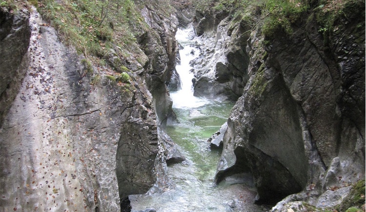Rettenbach Wilderness