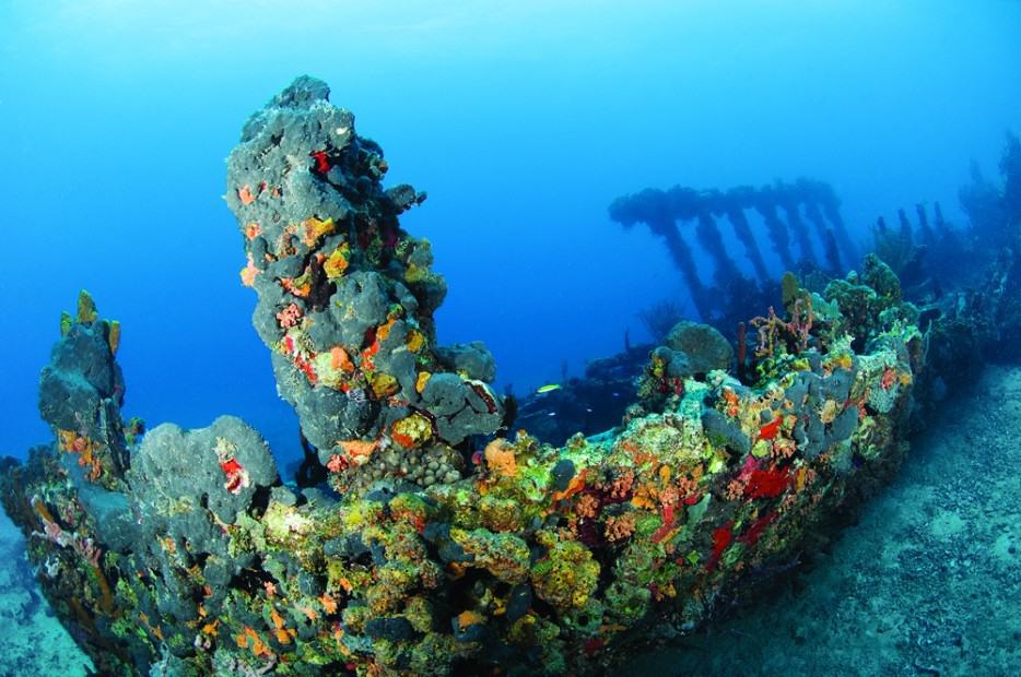 Rhone National Maritime Park