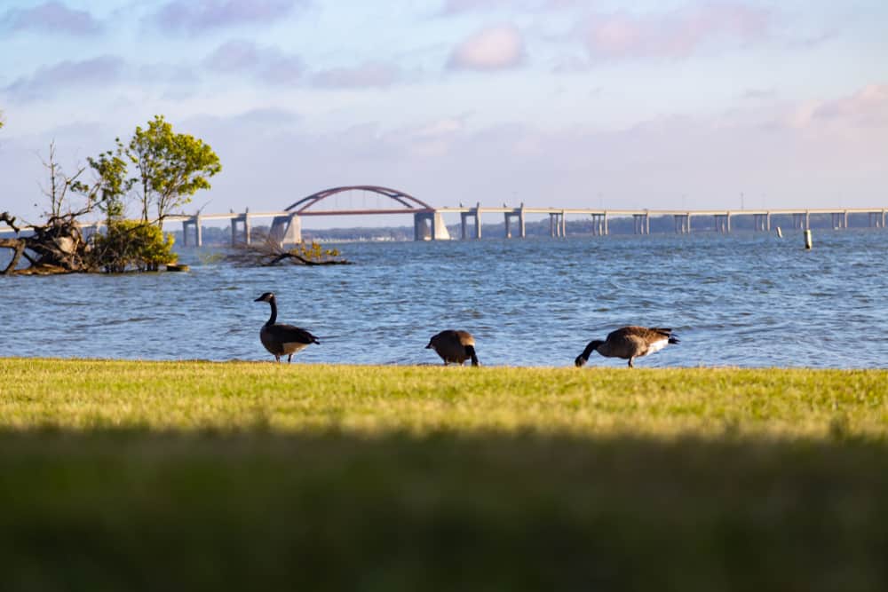 Lewisville Lake