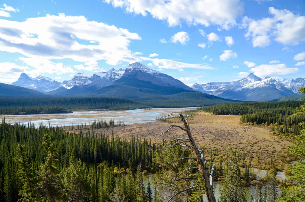 North Saskatchewan River - Saskatchewan/Alberta