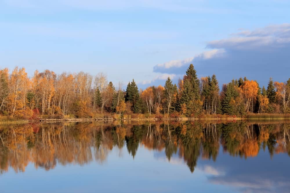 Reindeer Lake - Saskatchewan