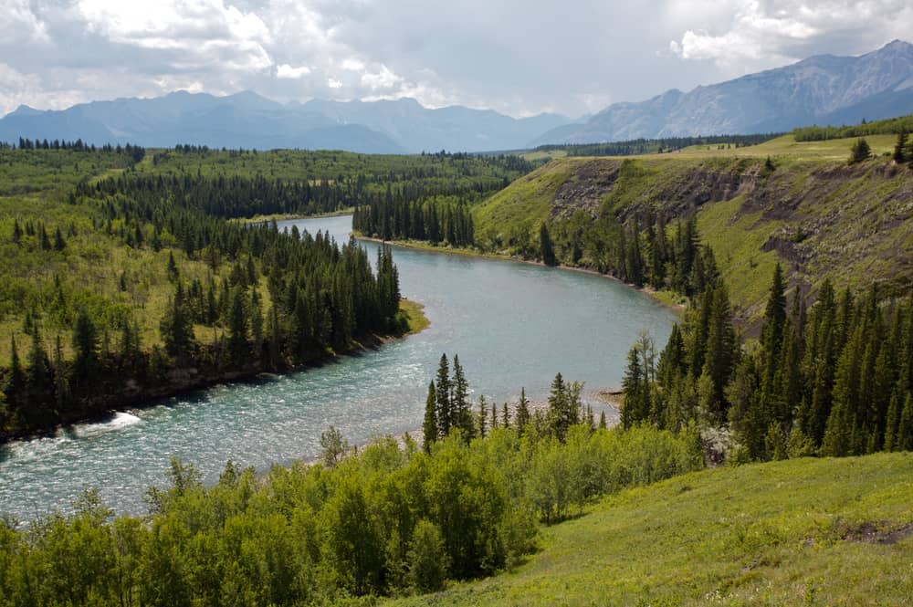 Bow River - Alberta