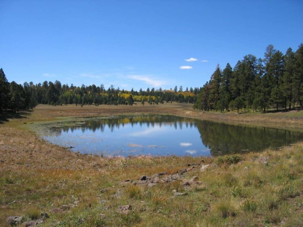 Eagar, Arizona