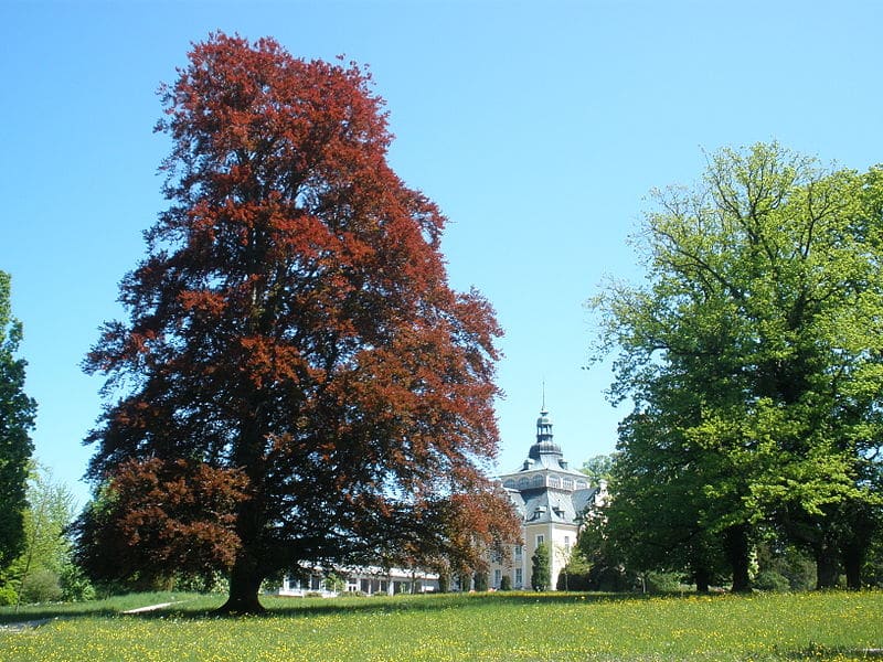 Toskana Park