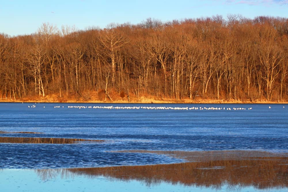 Clinton Lake