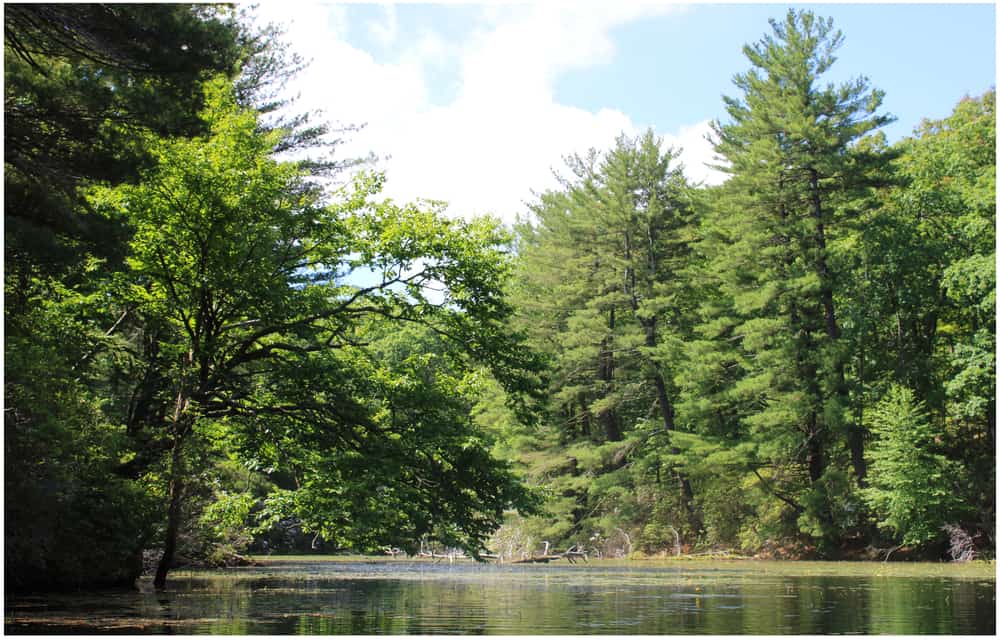 Lake Tiorati