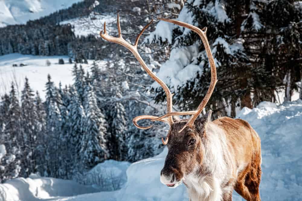 Megève