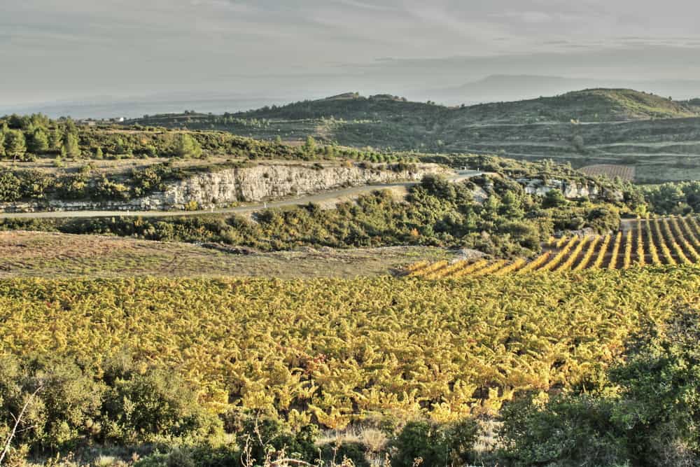 Minervois
