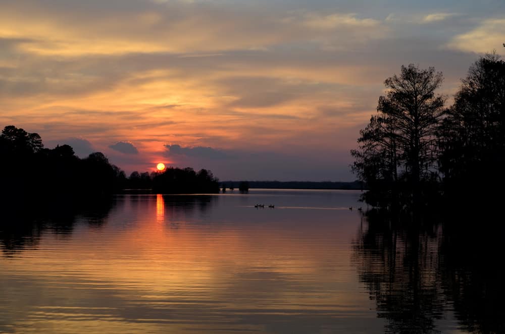 Lake Blackshear