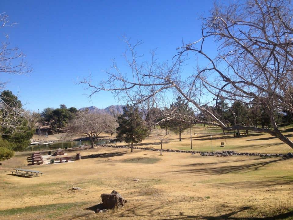 City View Park