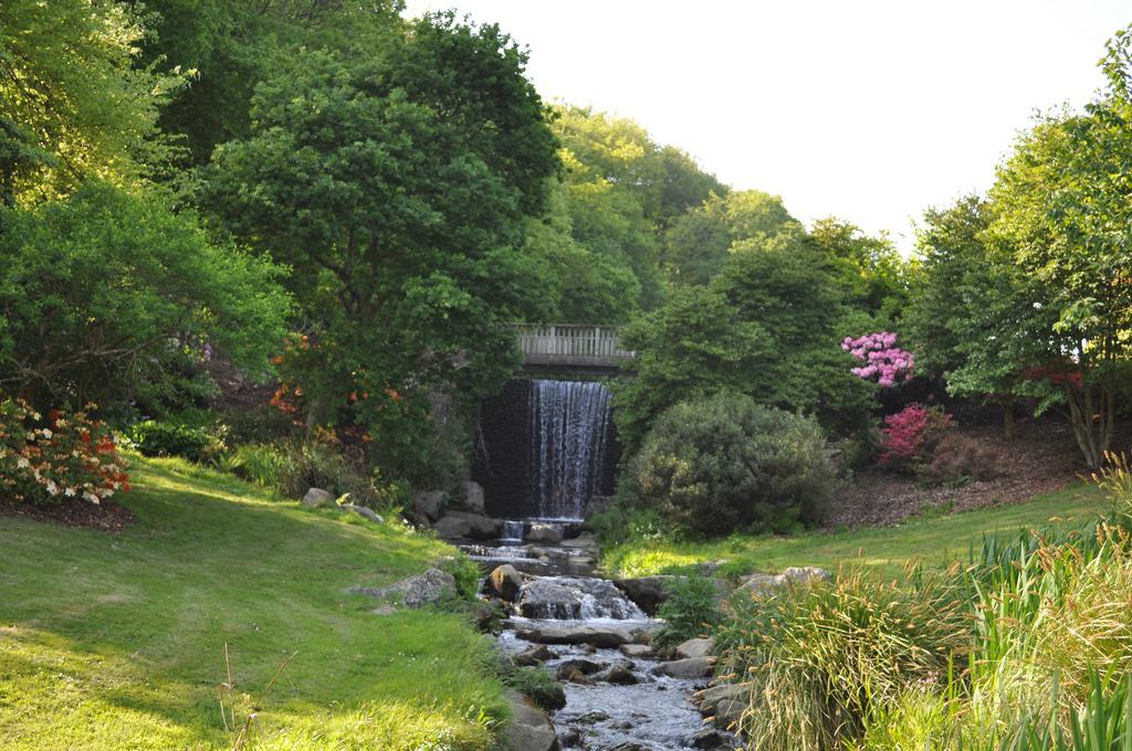 Conservatoire Botanique du Vallon du Stang-Alar