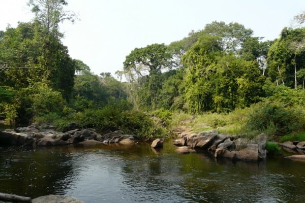 Edumanom National Forest