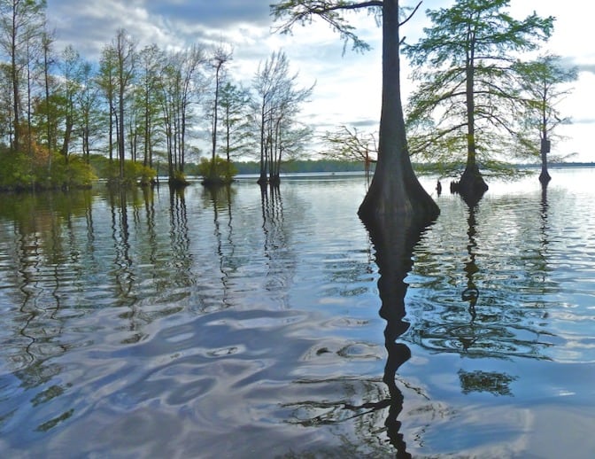 Lake Drummond