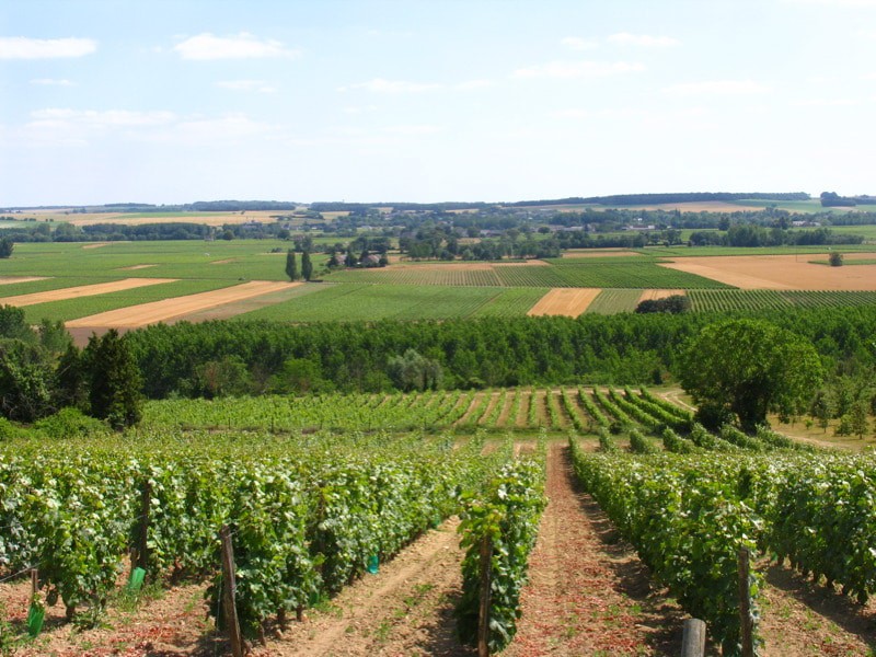 Loire Valley Wine