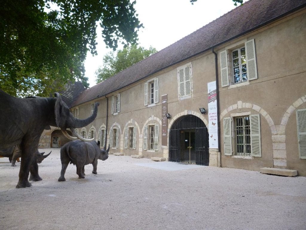 Museum d'Histoire Naturelle