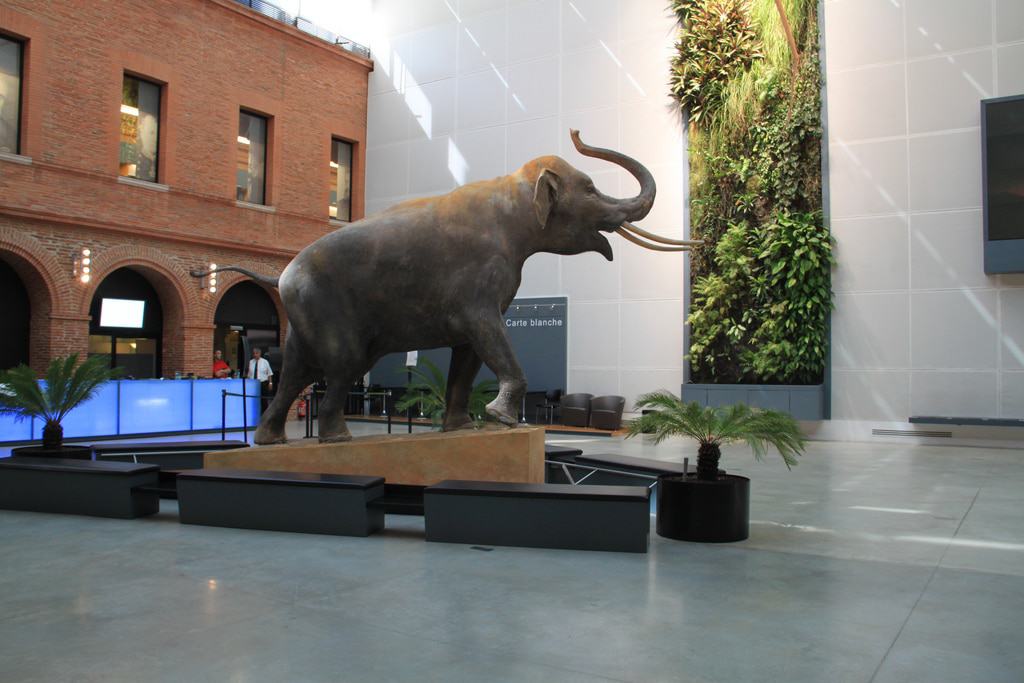 Muséum de Toulouse