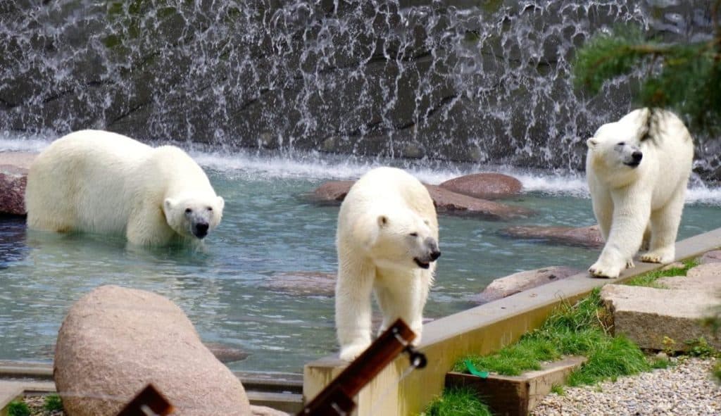 Parc Zoologique et Botanique