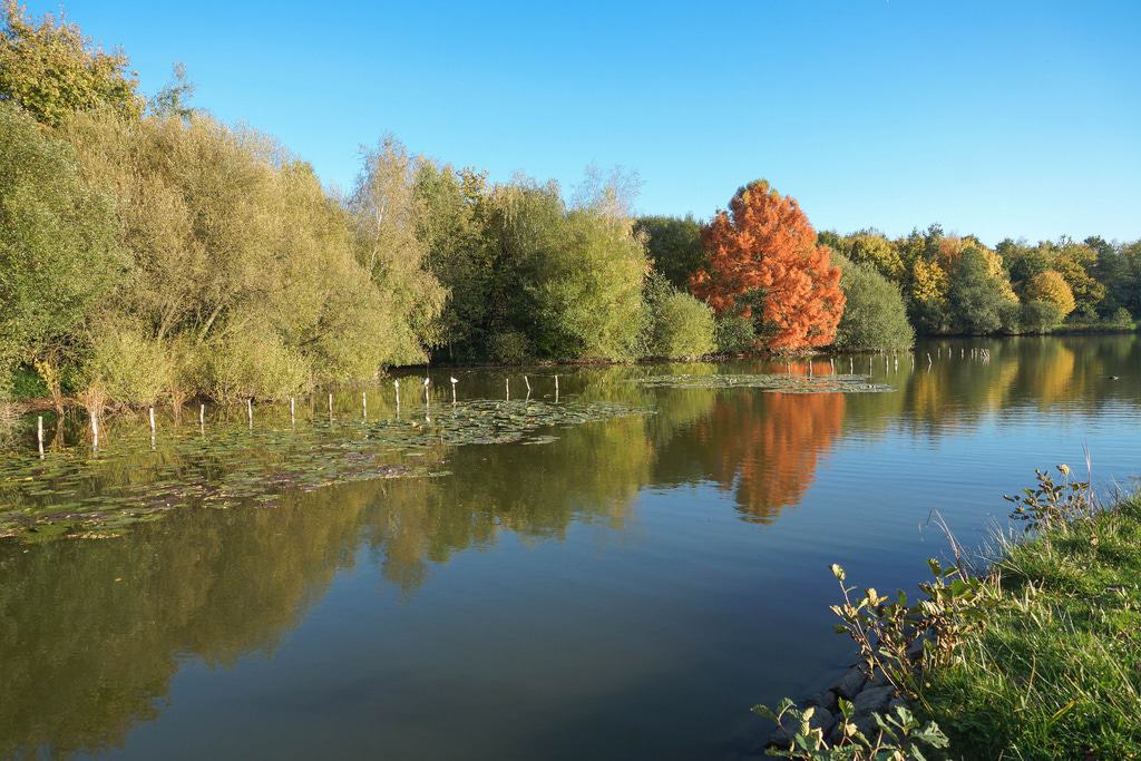 Parc des Gayeulles