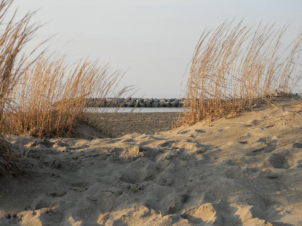 Presque Isle State Park