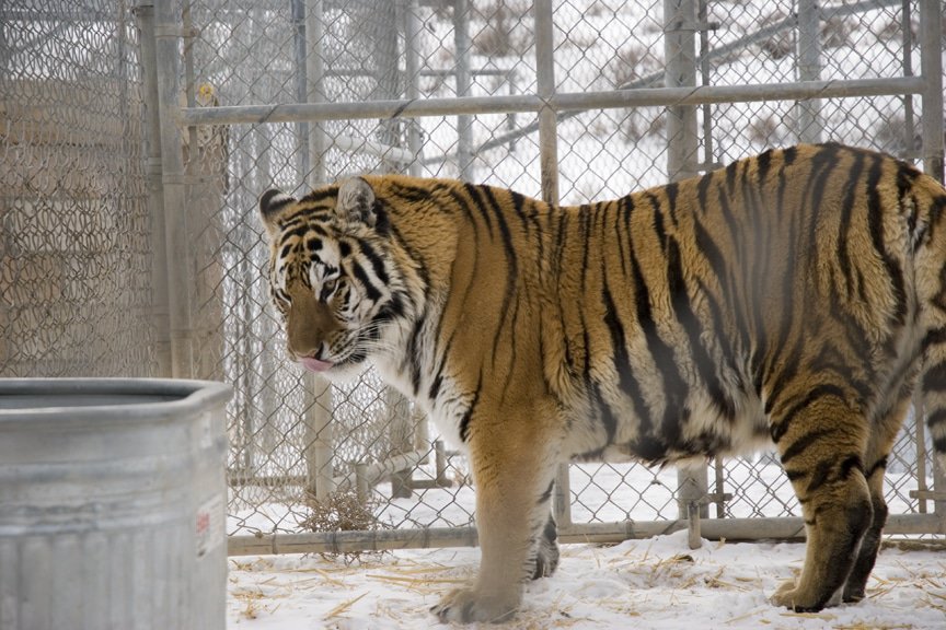 Sierra Safari Zoo