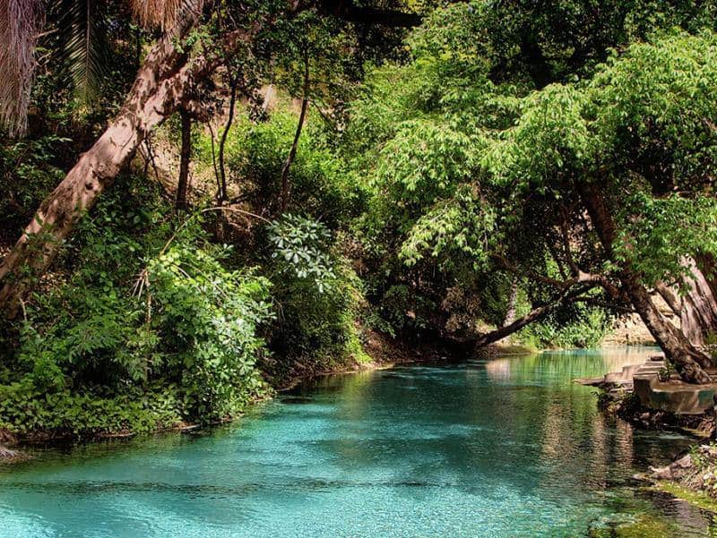 Yankari National Park
