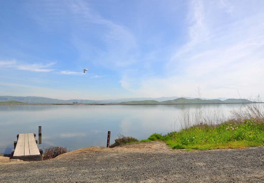 Coyote Hills Regional Park and Alameda Creek Trail