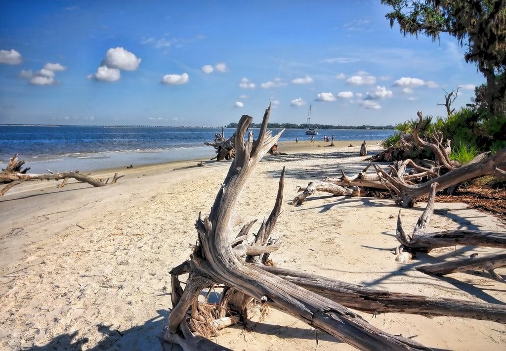 Driftwood Beach, Jekyll Island. Georgia