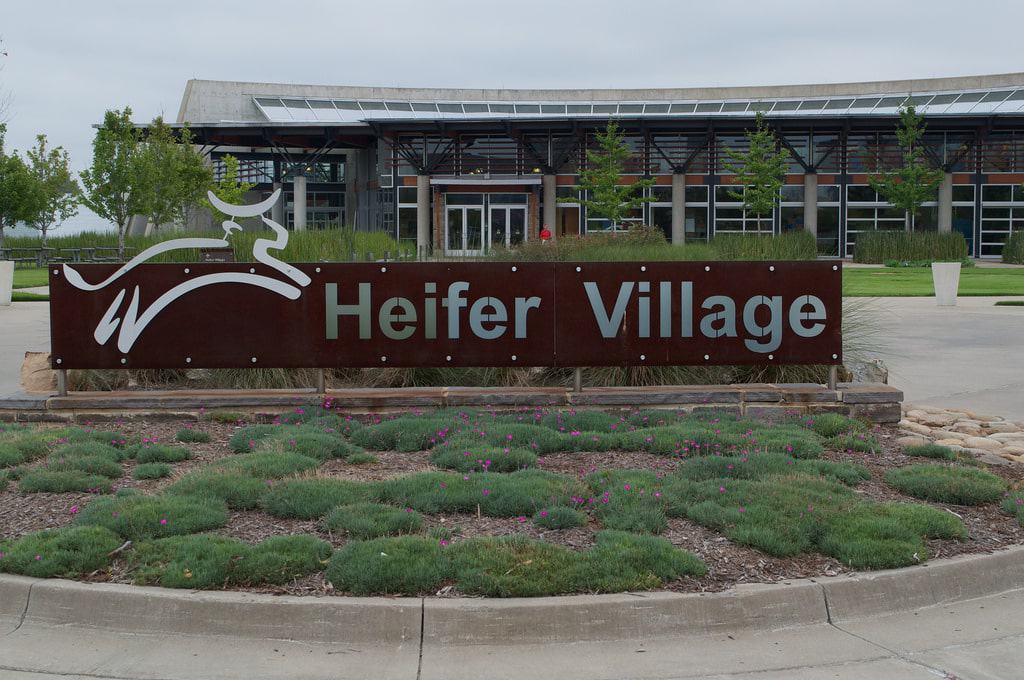 Heifer Village