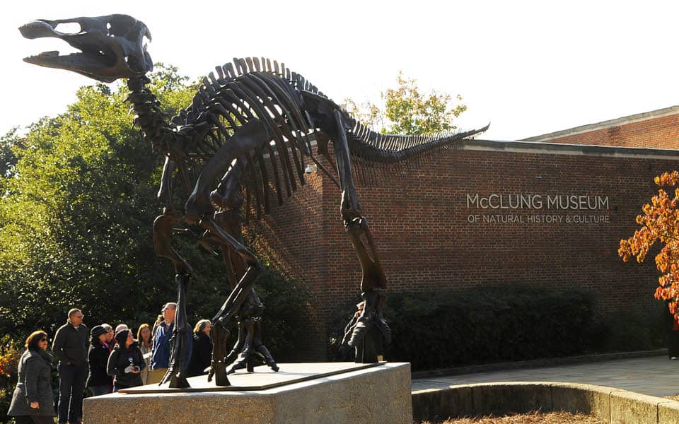 McClung Museum of Natural History and Culture