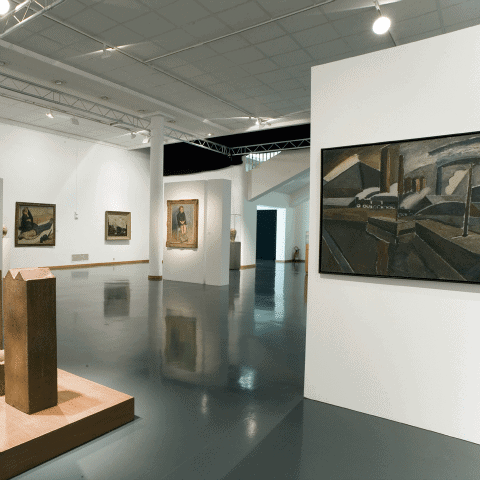 Museum of Fine Arts