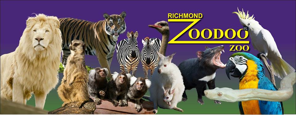 Zoodoo Zoo
